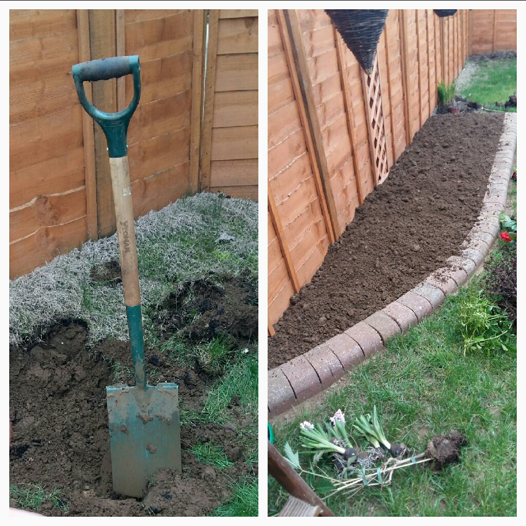 Emily's garden