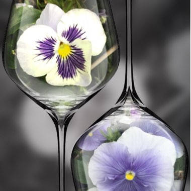 Pansy
