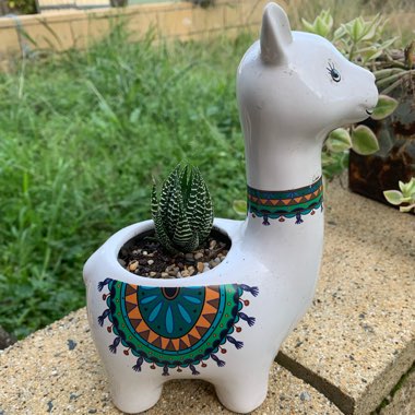 em's garden