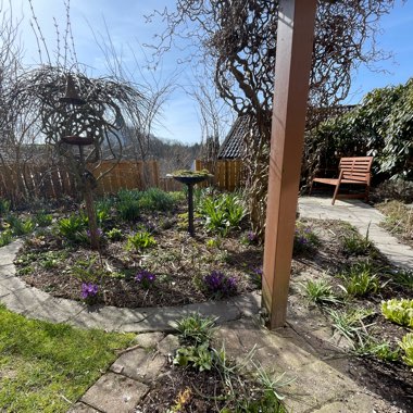 Mona's garden