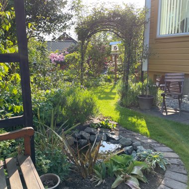 Mona's garden