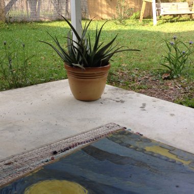Aloe Vera