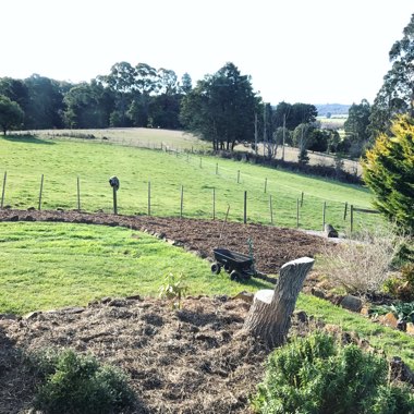 Anna's garden