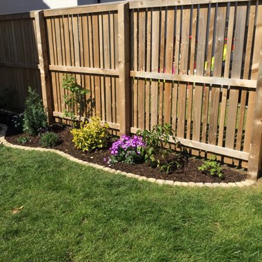 Eva's garden