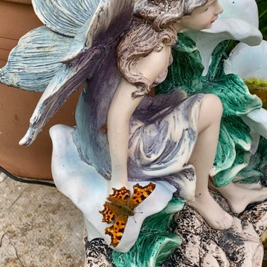 Evelyn's garden
