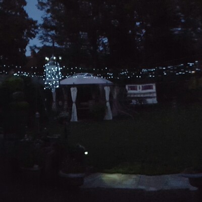 Pam's garden