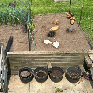 Faith's garden