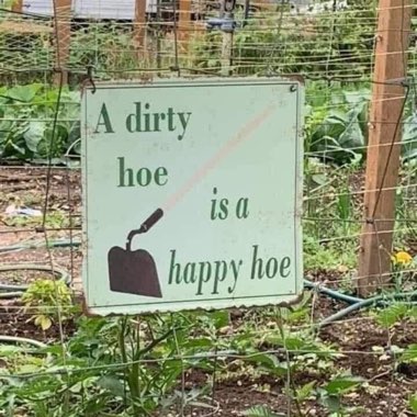 Ann's garden