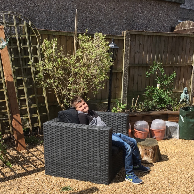Dawn's garden