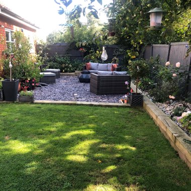 fionagh's garden