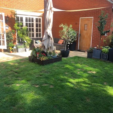 fionagh's garden