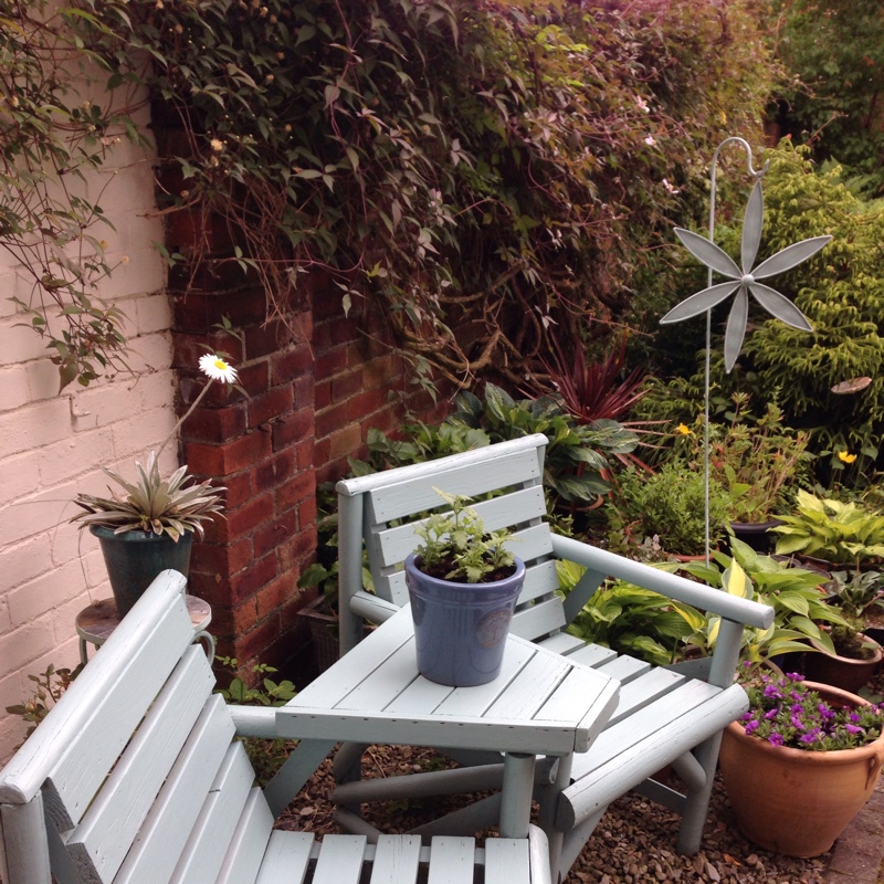 Frieda's garden