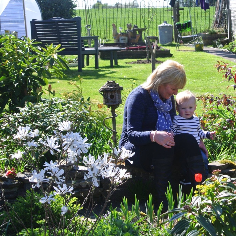 flower's garden