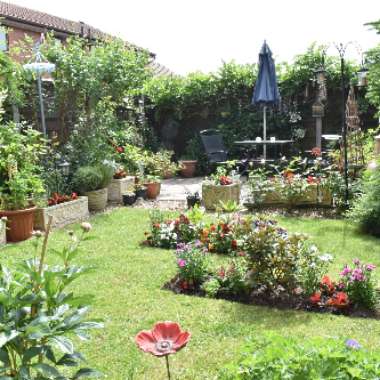 Neil's garden