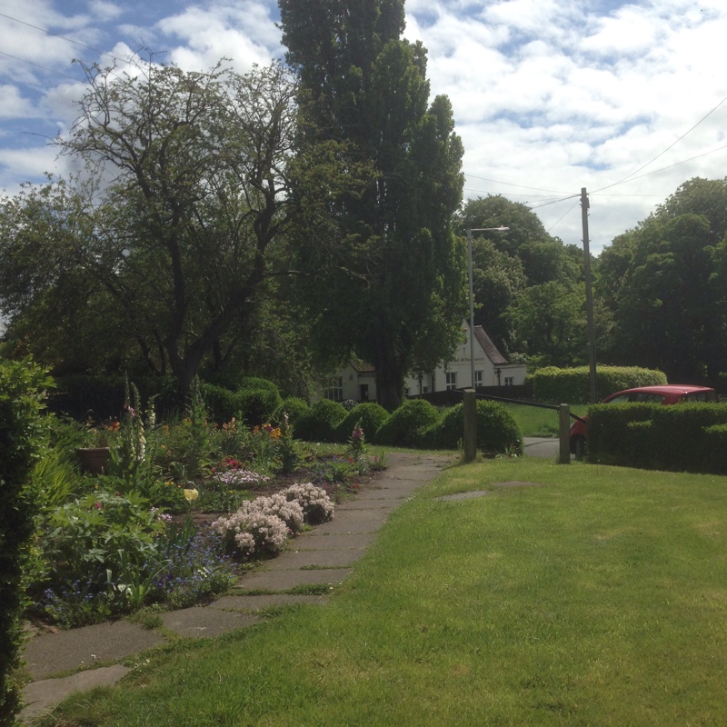 Chevonne's garden