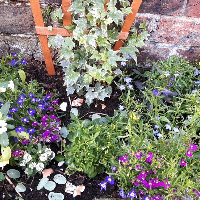 Miriam's garden