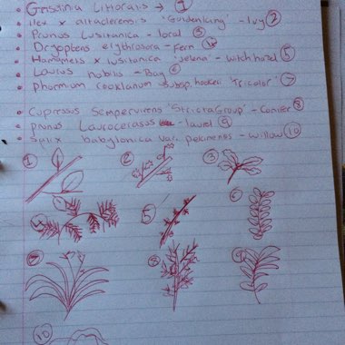 Beth's garden