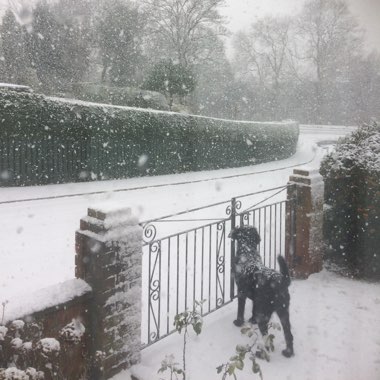 cal's garden