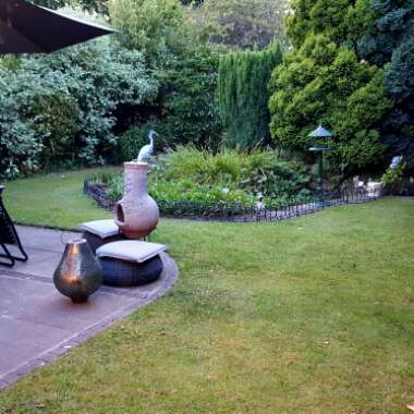 Sharon's garden