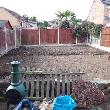 Christian's garden