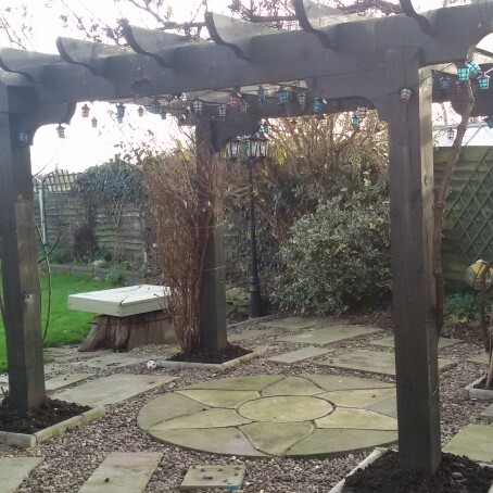 Damian's garden