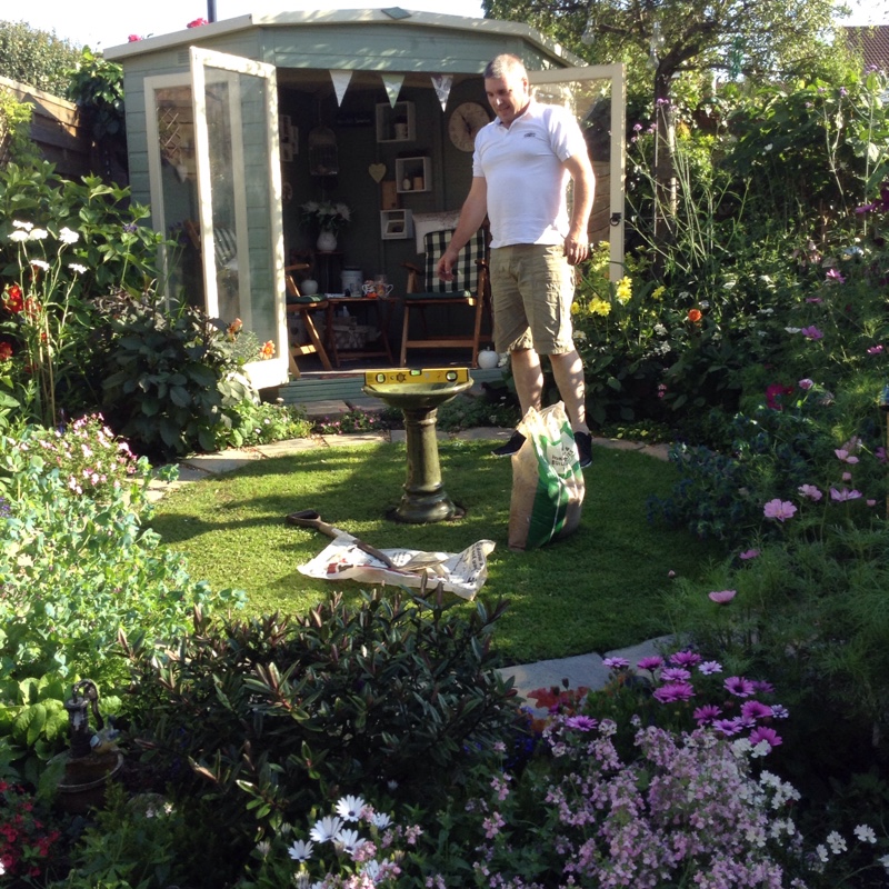 Frances's garden