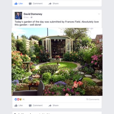 Frances's garden