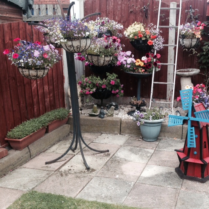 Garry's garden
