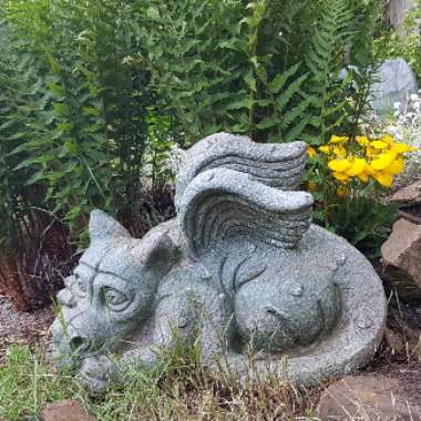 Lynda 's garden