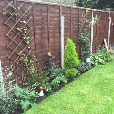 Gail's garden