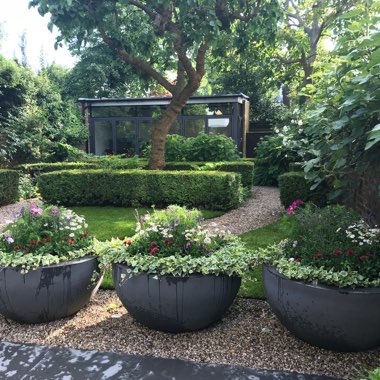 Adrian's garden