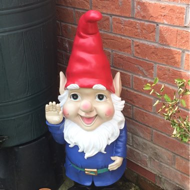 Tim's garden