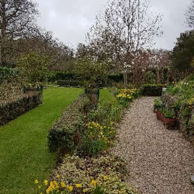 Rachel 's garden