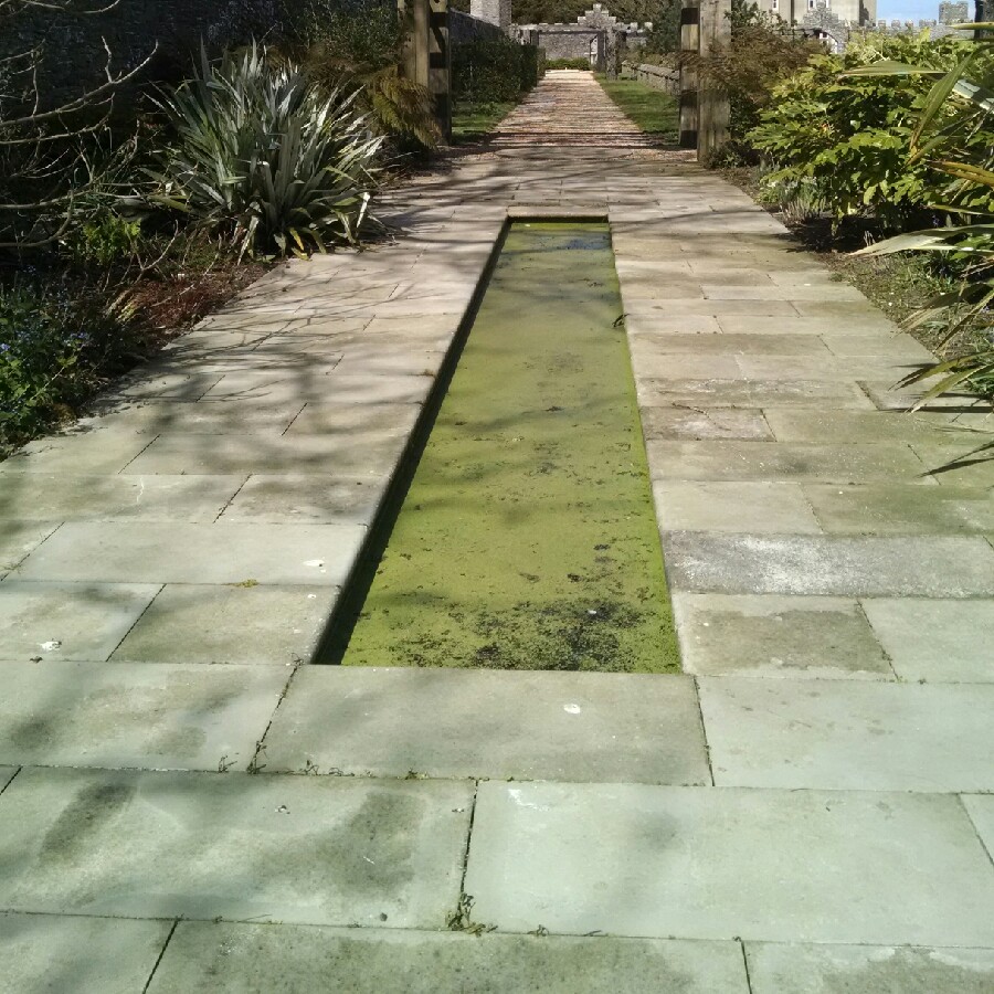 Gary's garden