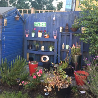 Gaynor's garden