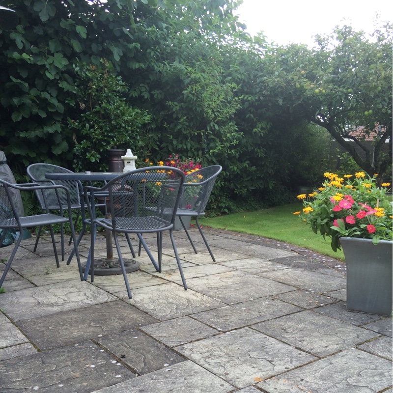 Gaynor's garden