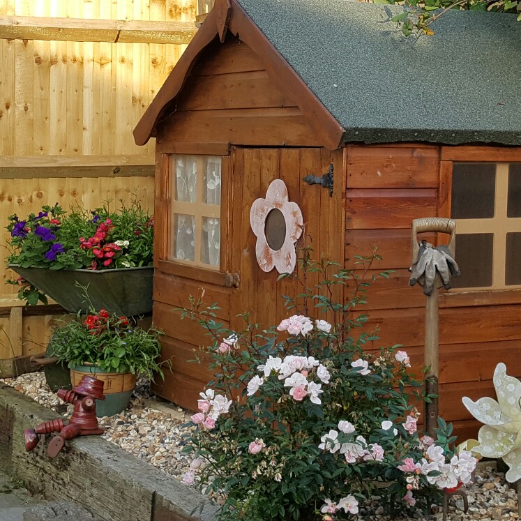 Gary's garden