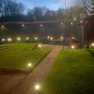 Gerald's garden