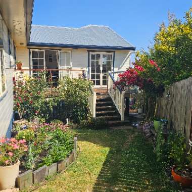 Gerard's garden