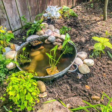 Geoff's garden