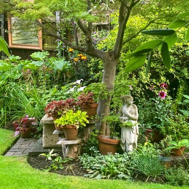 Geoff's garden