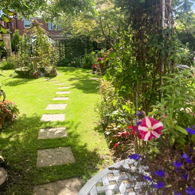 Geoff's garden