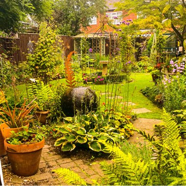 Geoff's garden