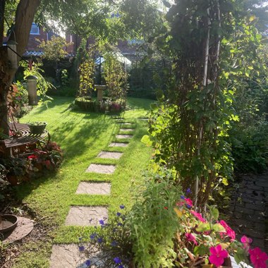 Geoff's garden