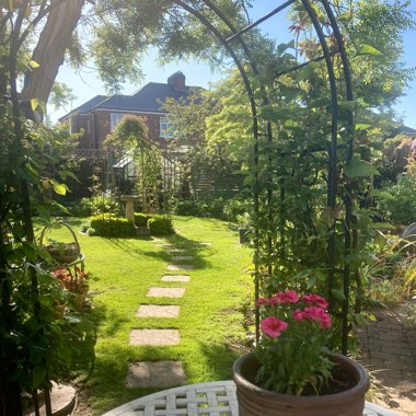 Geoff's garden