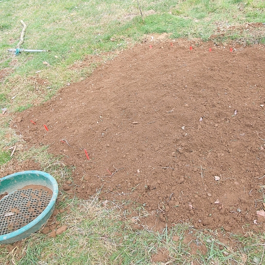 plant image 1446969
