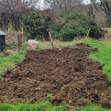 Alan's garden