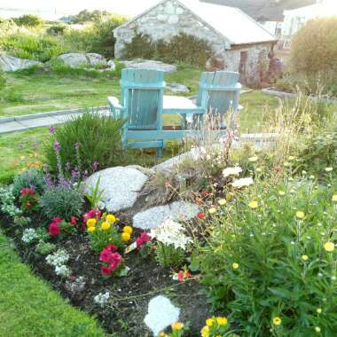 Gerry's garden