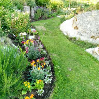 Gerry's garden
