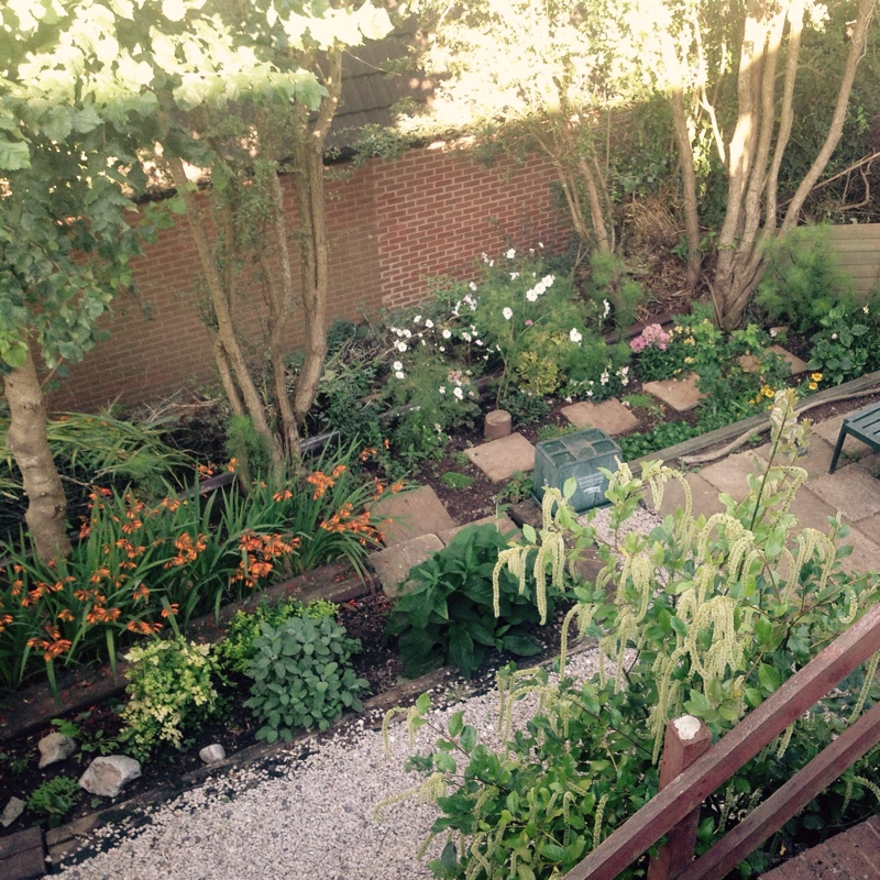 Gertie's garden